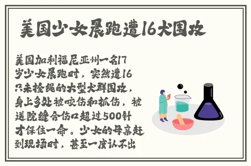 精品欧美小视频在线观看